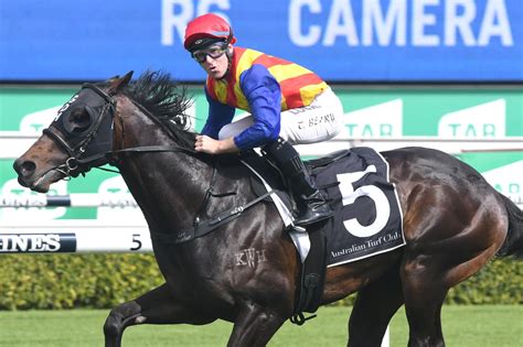 Pierata heads early Redzel Stakes odds .